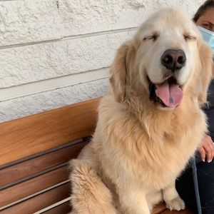 Meet your Posher, Lina